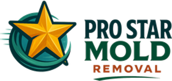 Pro Star Mold Removal
